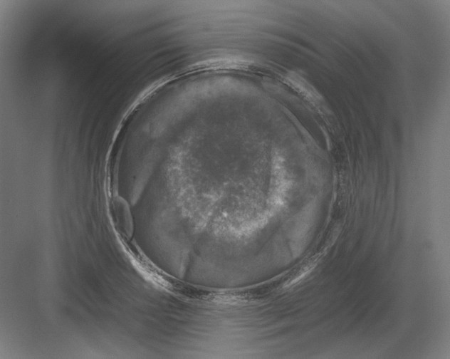 X0000082171034200702162255