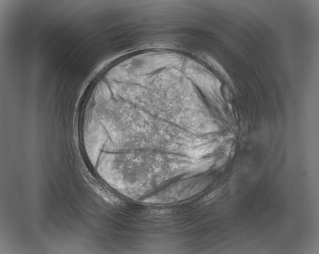 X0000082171035200702162255