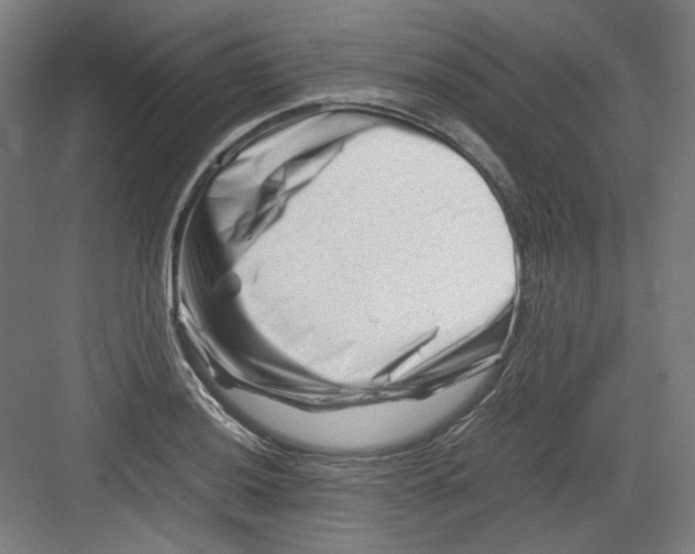 X0000082171036200702162255