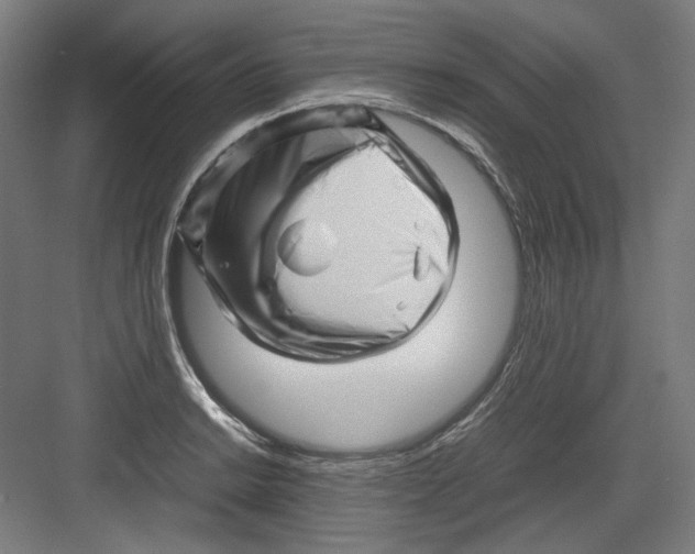 X0000082171038200702162255