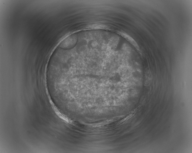 X0000082171039200702162256