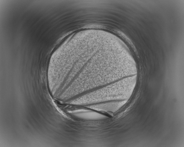 X0000082171041200702162256