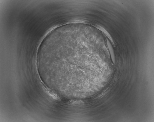 X0000082171043200702162256