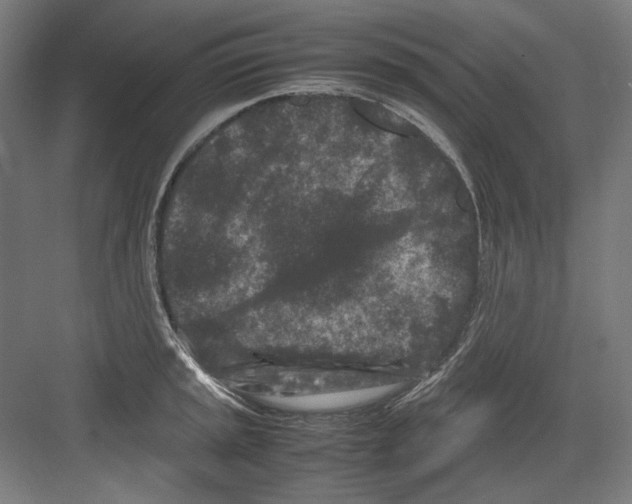 X0000082171045200702162256