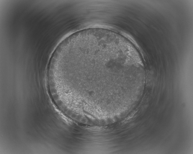 X0000082171048200702162256