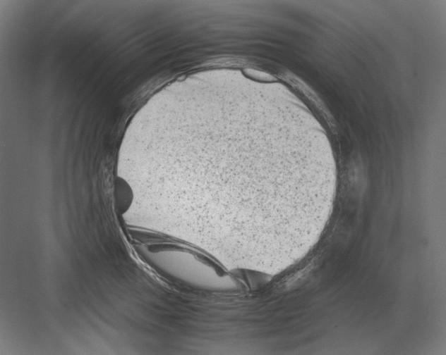 X0000082171049200702162256