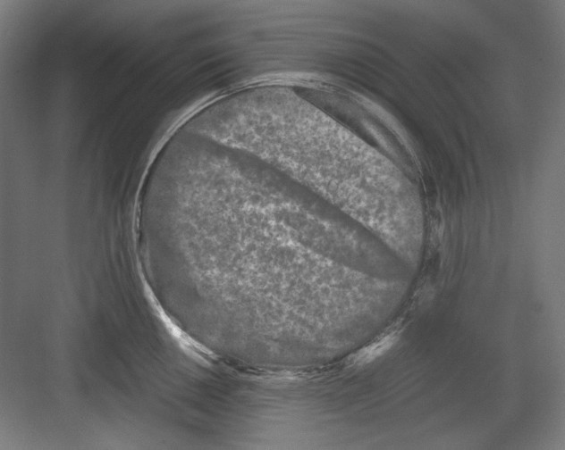 X0000082171050200702162256