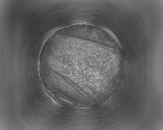 X0000082171051200702162256