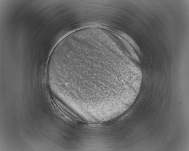 X0000082171052200702162256