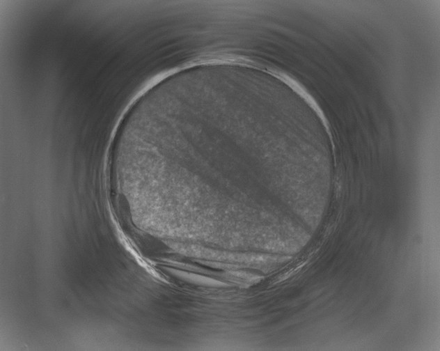 X0000082171053200702162256