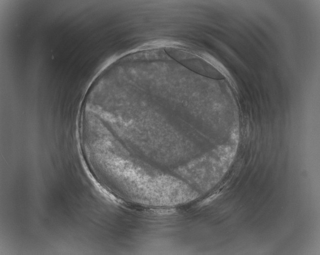 X0000082171055200702162256