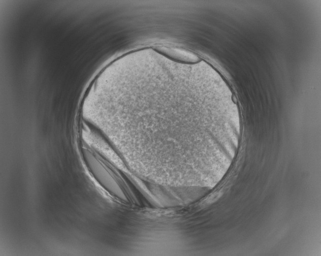 X0000082171056200702162256