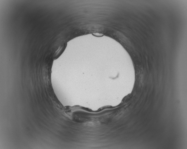 X0000082171058200702162255