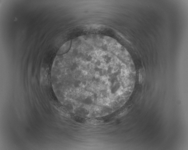 X0000082171059200702162255