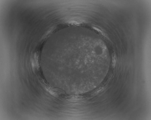 X0000082171060200702162255