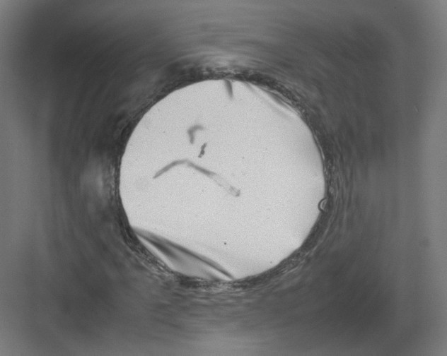 X0000082171061200702162255