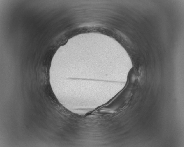 X0000082171062200702162255