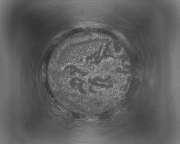 X0000082171063200702162255