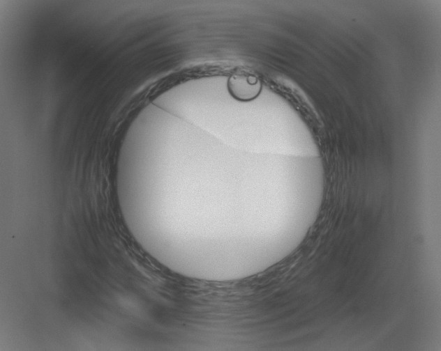 X0000082171064200702162255