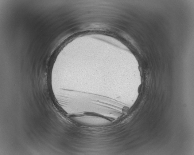 X0000082171066200702162255