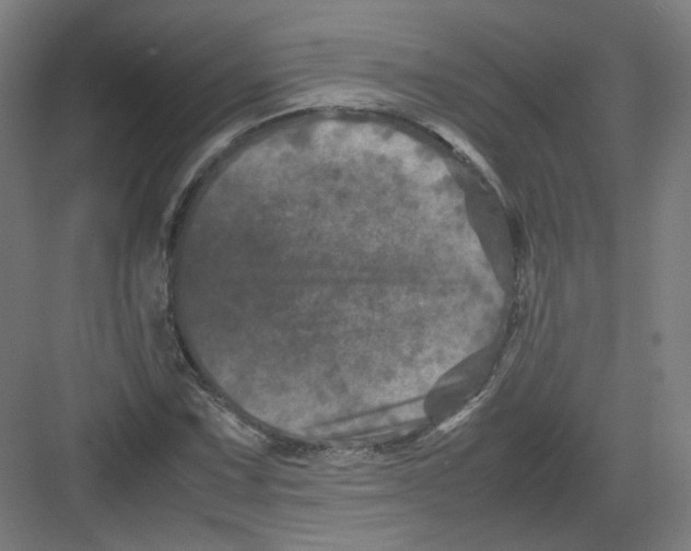 X0000082171067200702162255