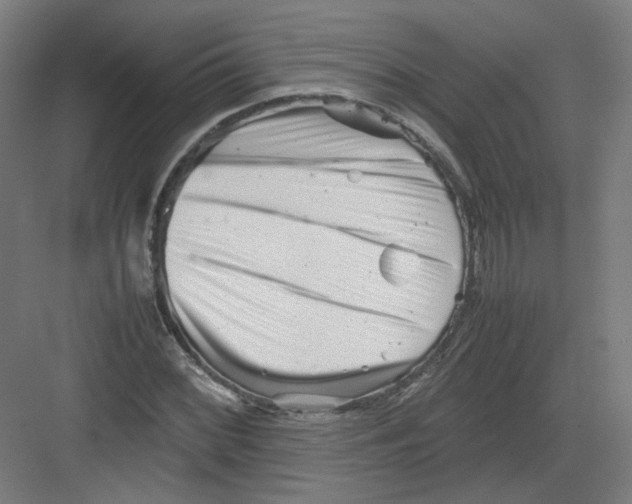 X0000082171068200702162255