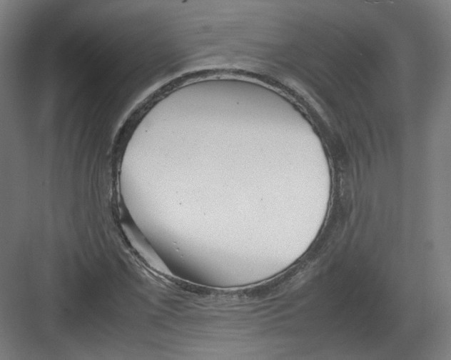 X0000082171069200702162255