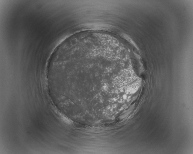 X0000082171071200702162255