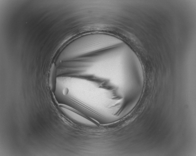 X0000082171073200702162255