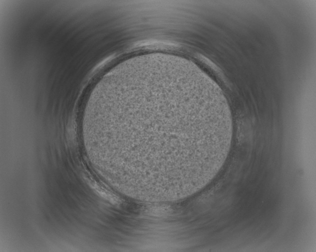 X0000082171074200702162255