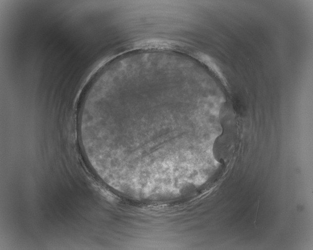 X0000082171075200702162255