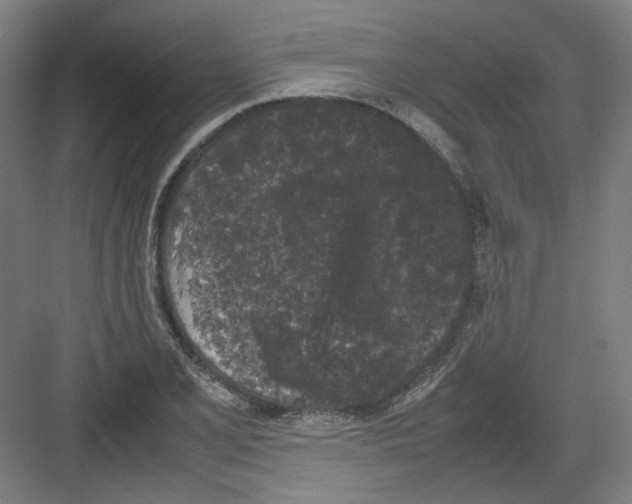 X0000082171077200702162255