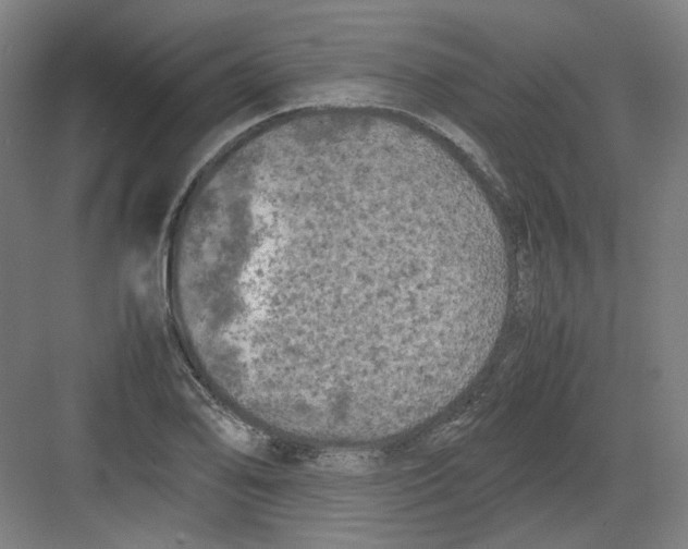 X0000082171078200702162255