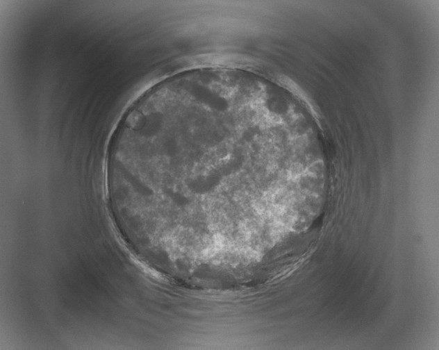 X0000082171079200702162255