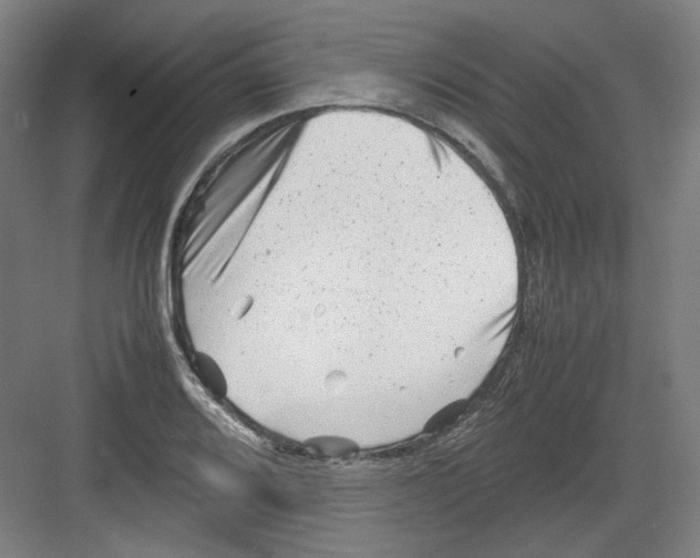 X0000082171080200702162255