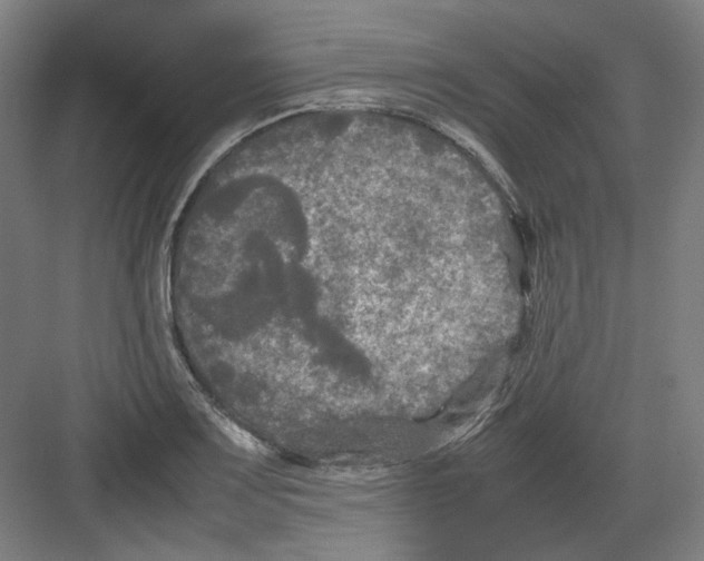 X0000082171083200702162255