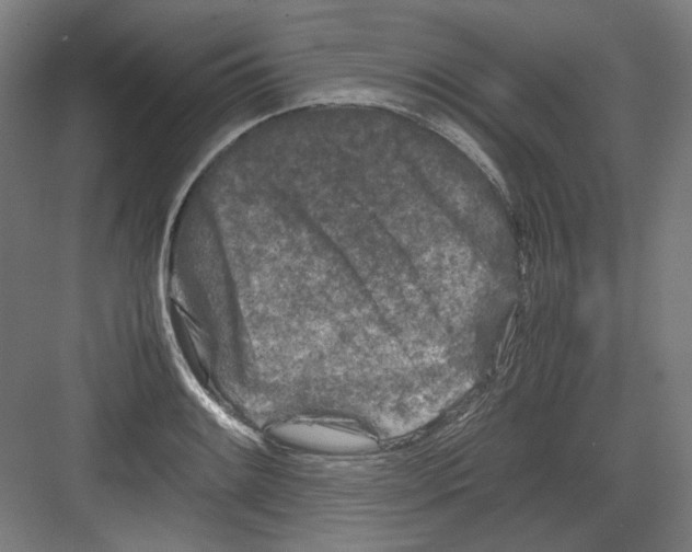 X0000082171084200702162255