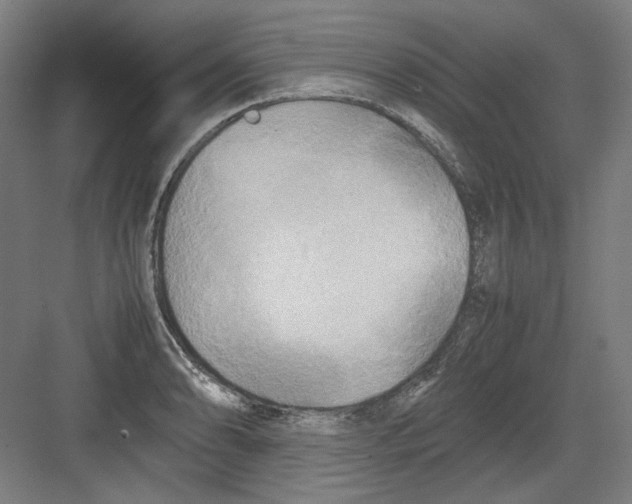 X0000082171086200702162255