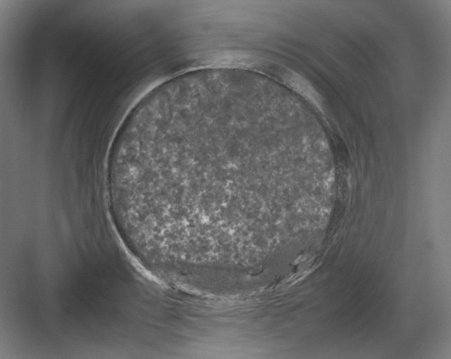 X0000082171087200702162254