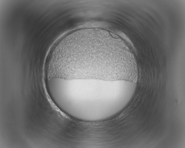 X0000082171088200702162254