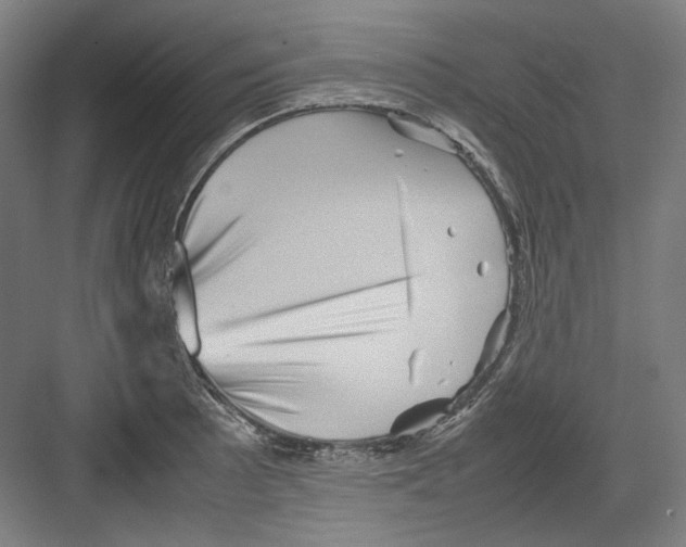 X0000082171089200702162254