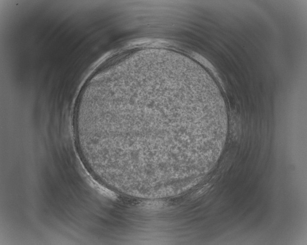 X0000082171090200702162254