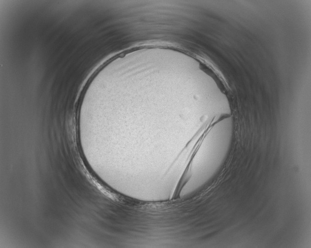 X0000082171092200702162254