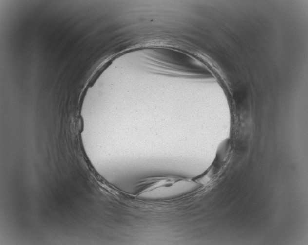 X0000082171097200702162254