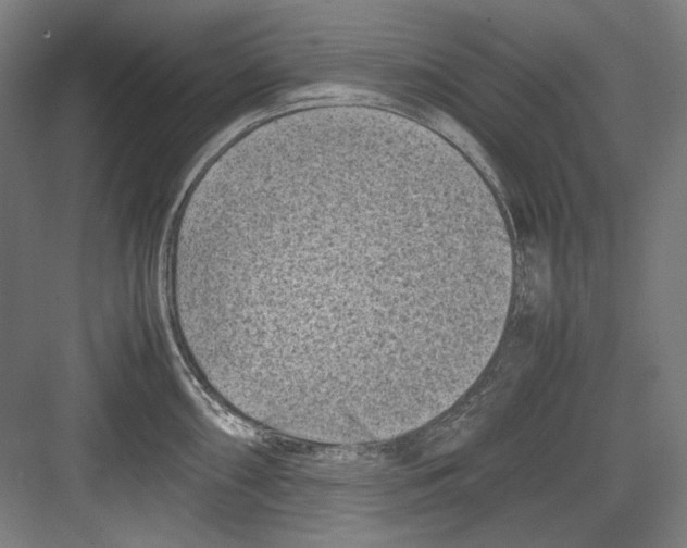 X0000082171098200702162254