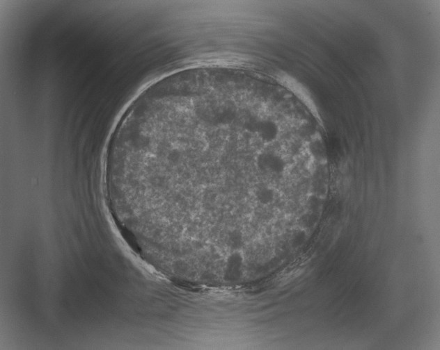 X0000082171099200702162254