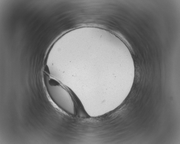 X0000082171100200702162254