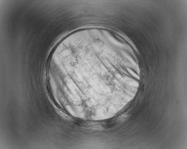 X0000082171101200702162254