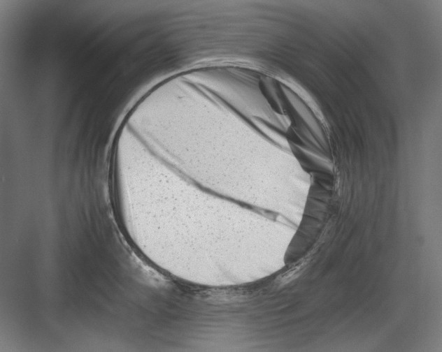 X0000082171102200702162254