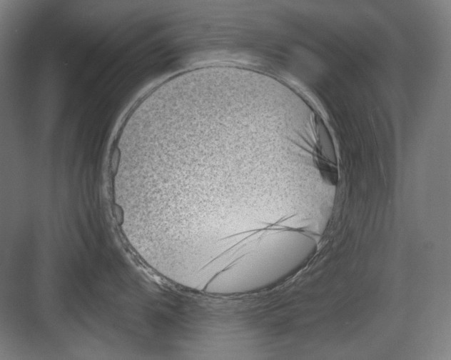 X0000082171104200702162254